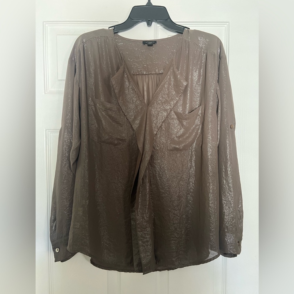 Ann Taylor sheer metallic blouse